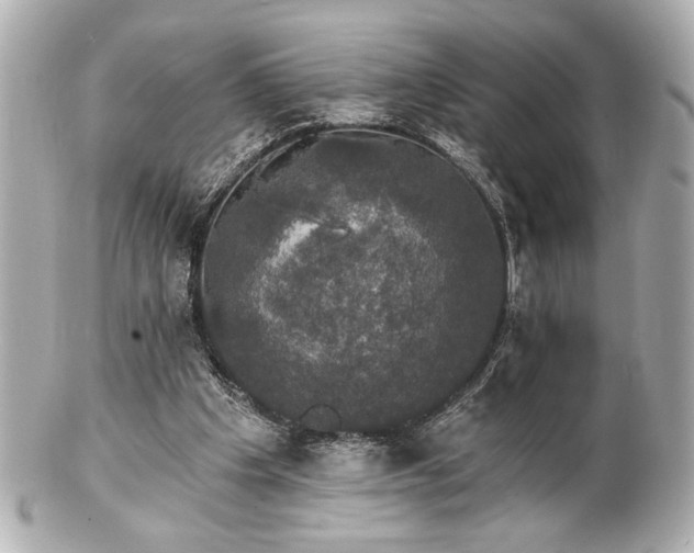 X0000100890201200807011205