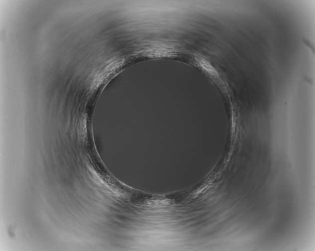 X0000100890202200807011205