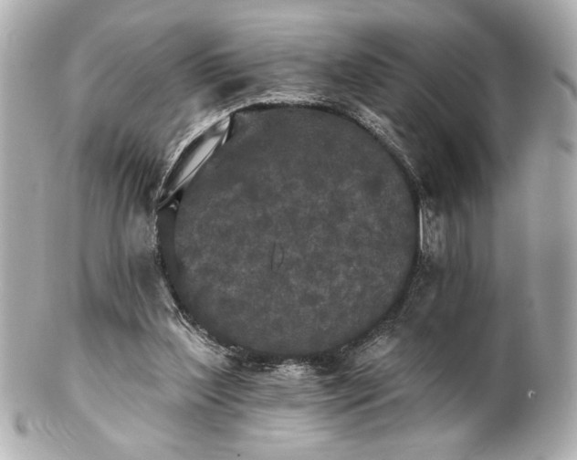 X0000100890204200807011205