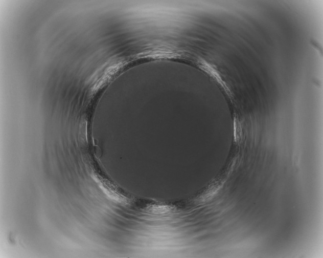 X0000100890205200807011205