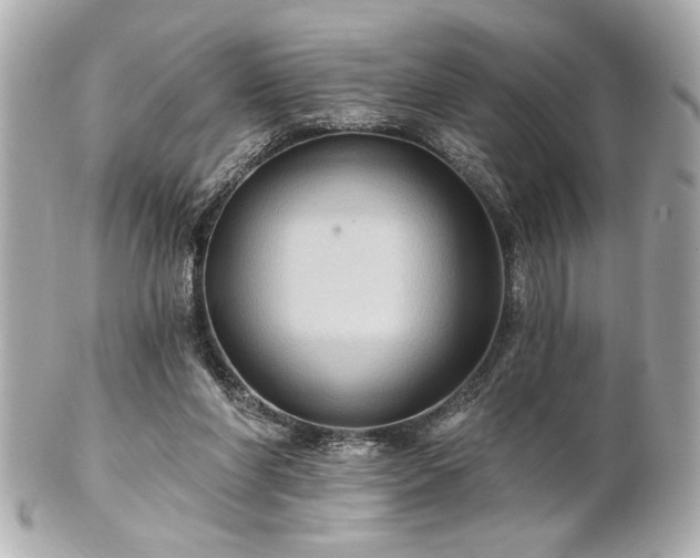 X0000100890206200807011204
