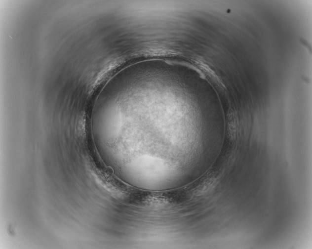 X0000100890207200807011204