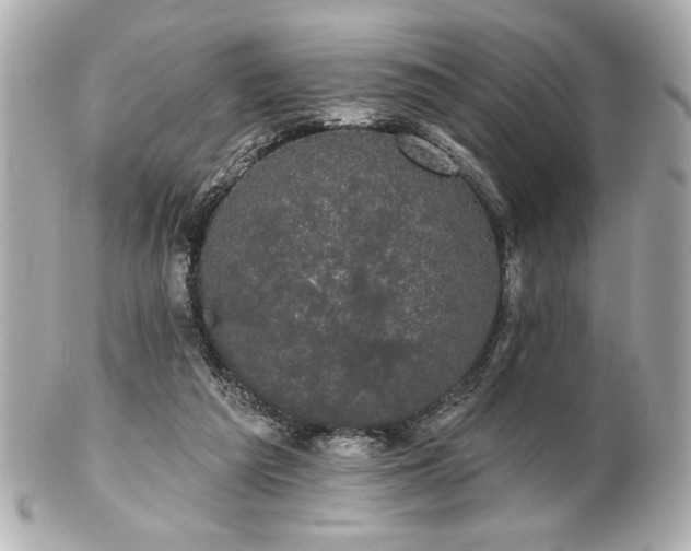 X0000100890209200807011204
