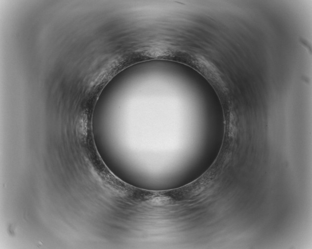 X0000100890210200807011204