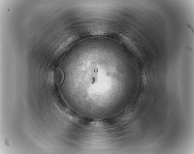 X0000100890211200807011204