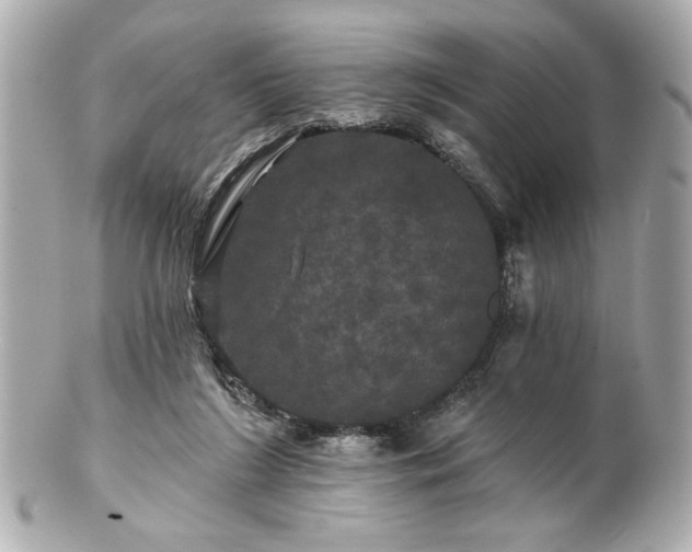 X0000100890212200807011204