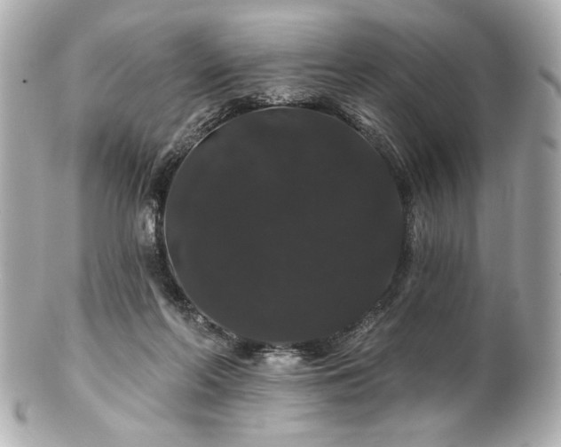 X0000100890214200807011204