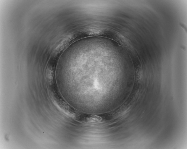 X0000100890215200807011204