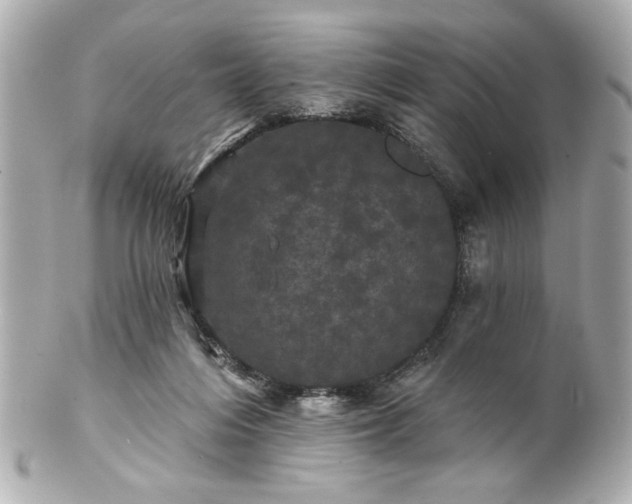 X0000100890216200807011204