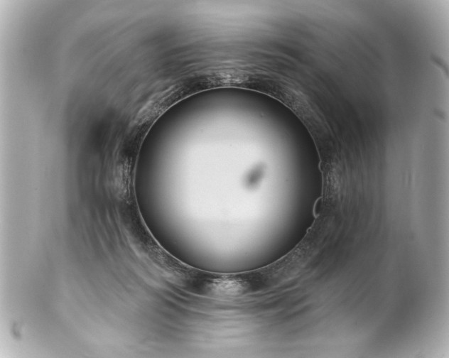X0000100890218200807011204