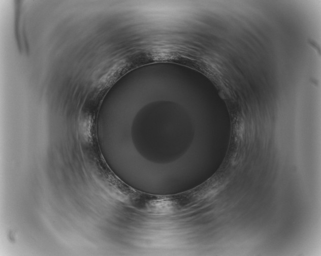 X0000100890219200807011204