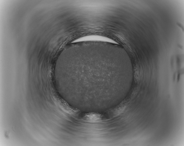 X0000100890221200807011204