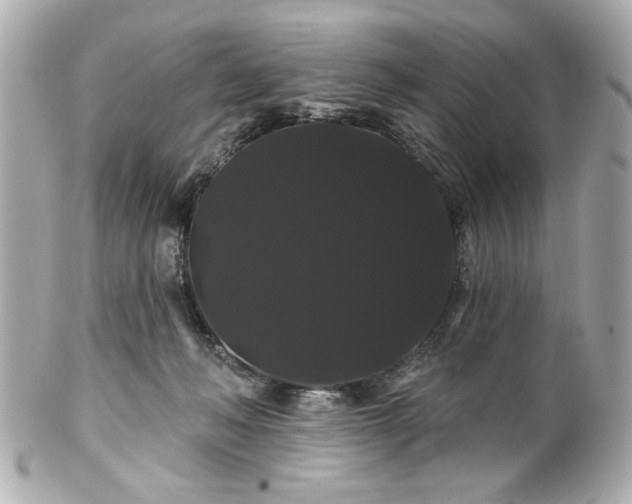 X0000100890222200807011204