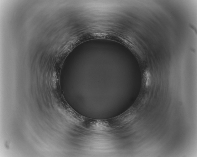 X0000100890223200807011204