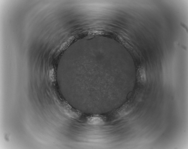 X0000100890224200807011204