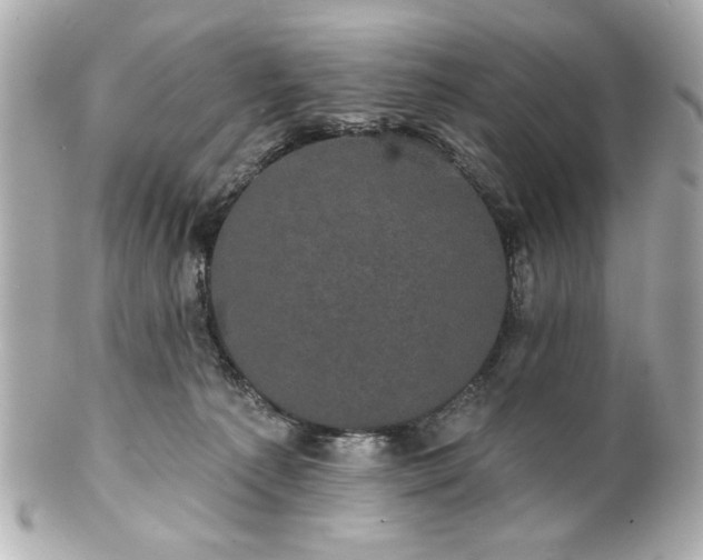 X0000100890225200807011204