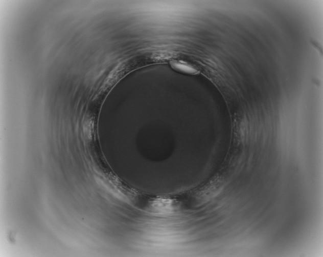X0000100890227200807011204