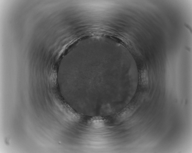 X0000100890228200807011204