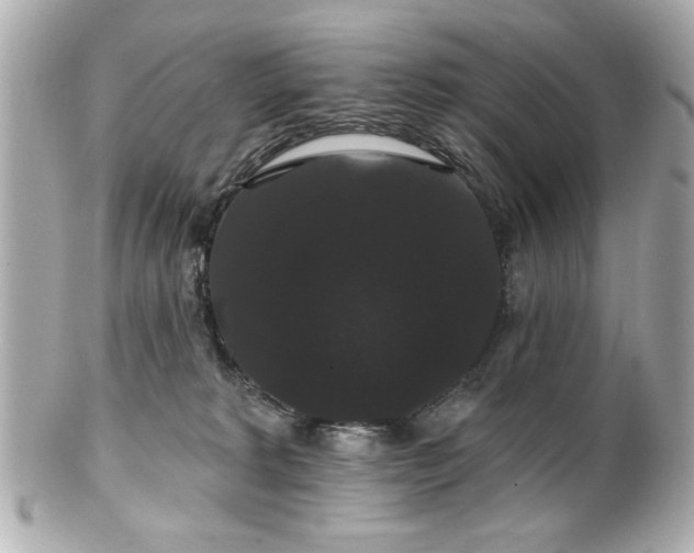 X0000100890229200807011204