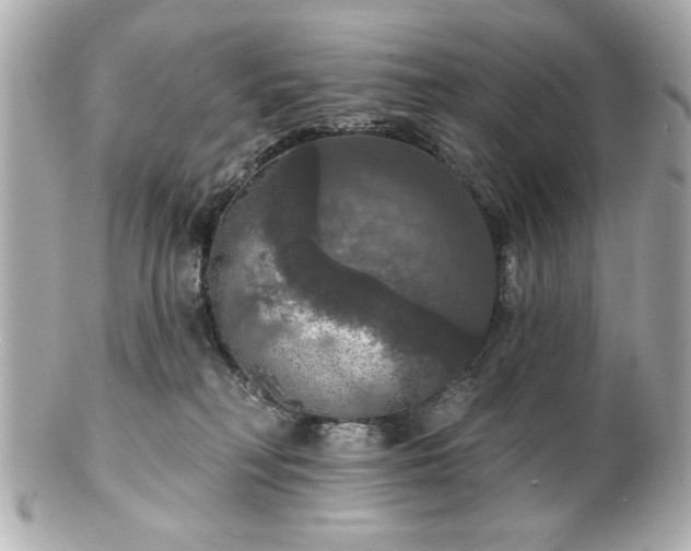 X0000100890230200807011204