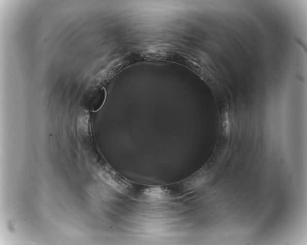 X0000100890231200807011204