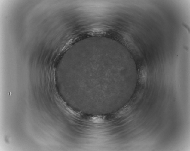 X0000100890232200807011204