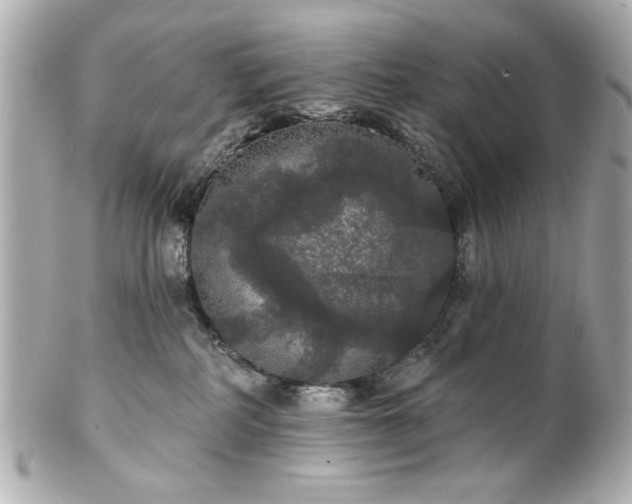 X0000100890234200807011204