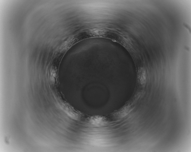 X0000100890235200807011204