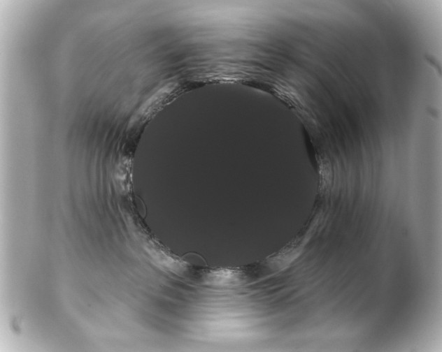 X0000100890237200807011204