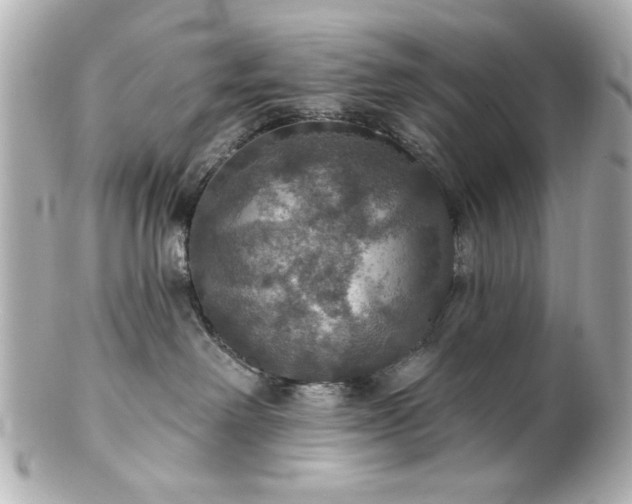 X0000100890238200807011204