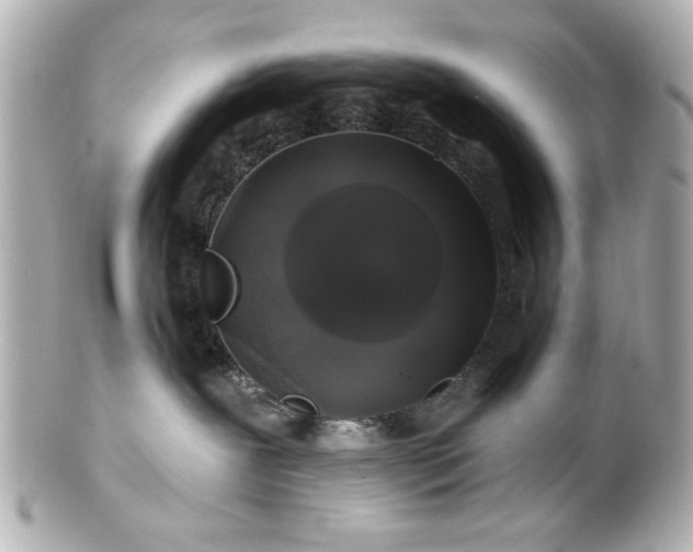 X0000100890239200807011204