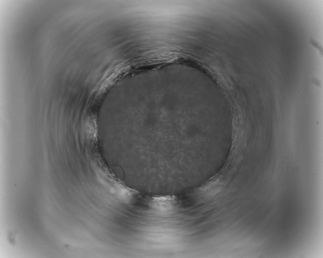 X0000100890240200807011204