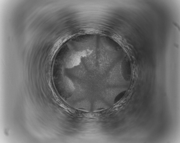 X0000100890241200807011203