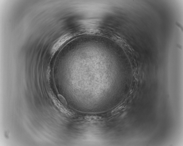 X0000100890242200807011203