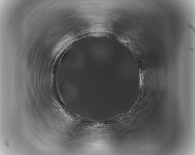 X0000100890243200807011203