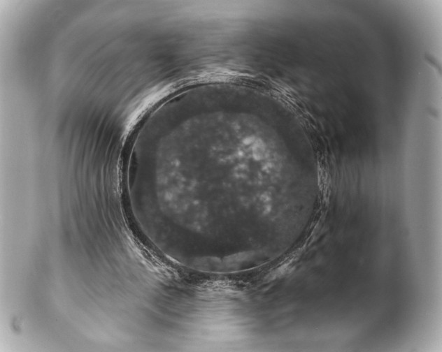X0000100890244200807011203