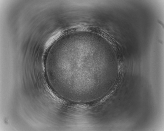 X0000100890245200807011203