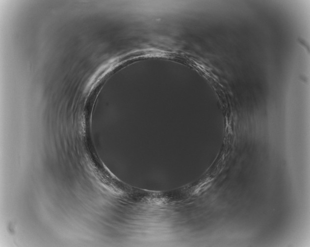 X0000100890247200807011203