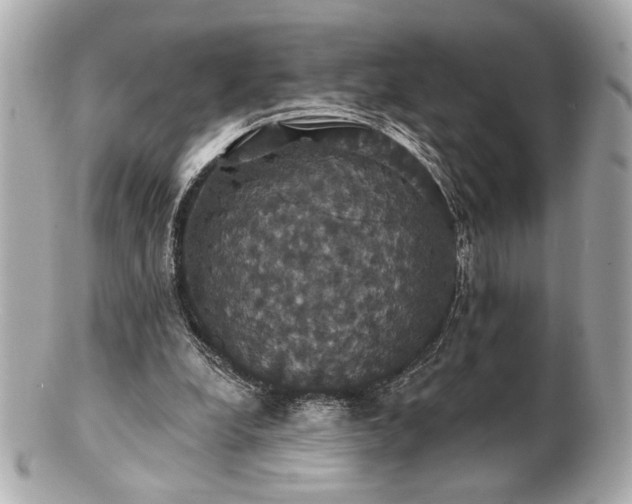 X0000100890248200807011203