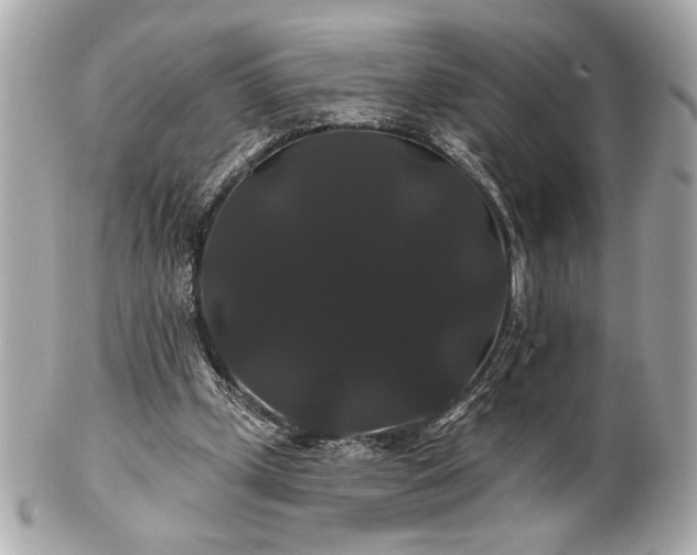 X0000100890249200807011203
