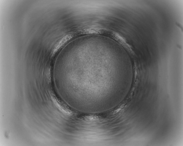 X0000100890250200807011203