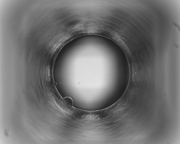 X0000100890251200807011203