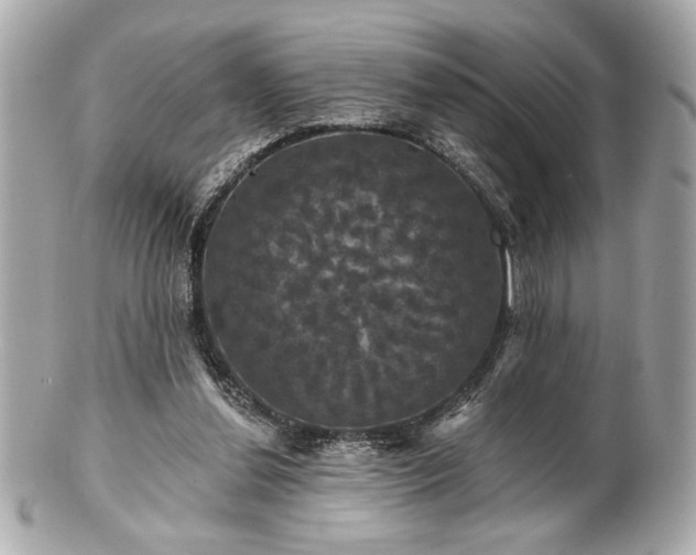 X0000100890252200807011203
