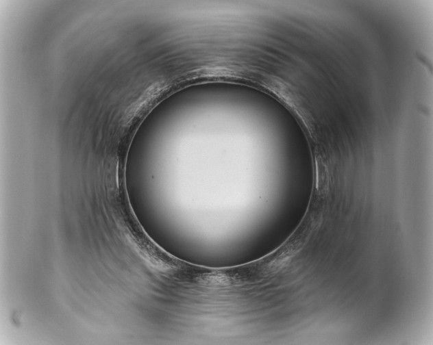 X0000100890253200807011203