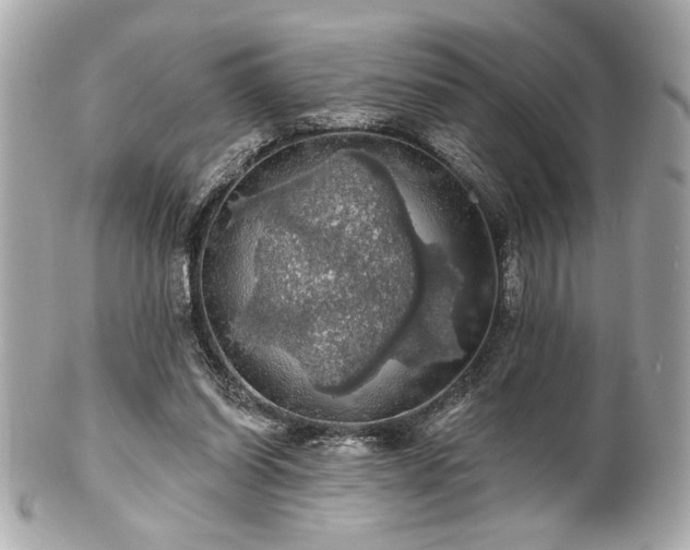 X0000100890254200807011203
