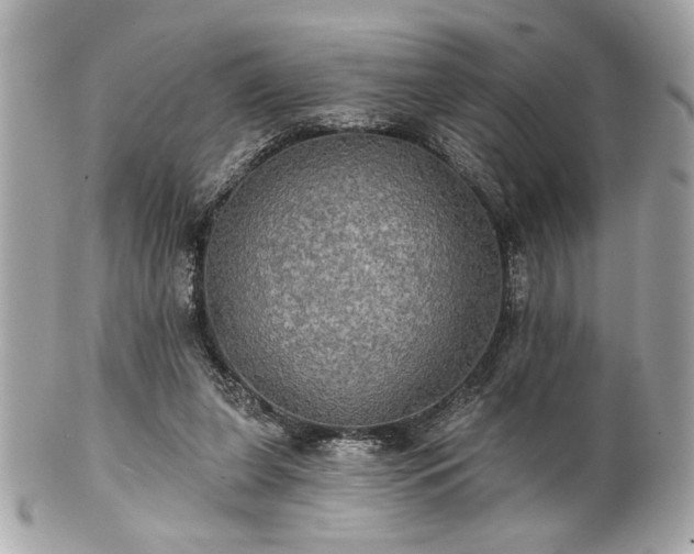 X0000100890255200807011204