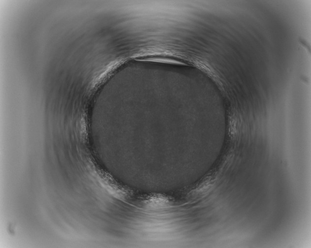 X0000100890256200807011204