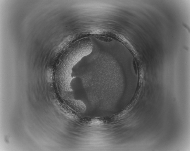 X0000100890257200807011204