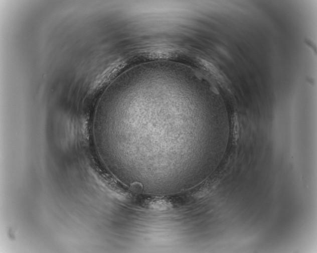 X0000100890258200807011204