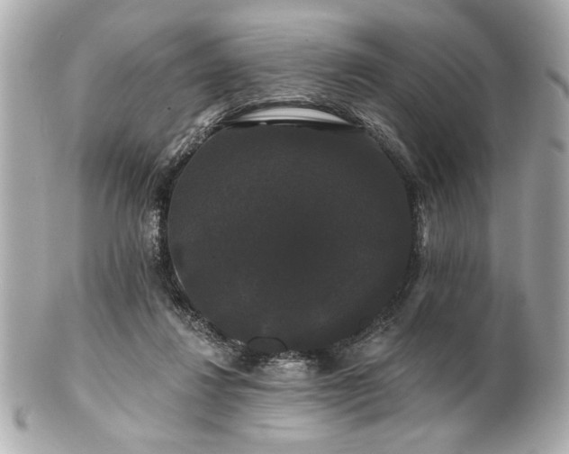 X0000100890260200807011204